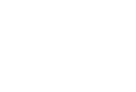 foals e puledri 