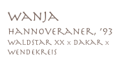 wanja
hannoveraner, ’93
waldstar xx x dakar x wendekreis
