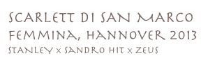 SCARLETT DI SAN MARCO
femmina, hannover 2013
stANLEY x sandro hit x zeus
