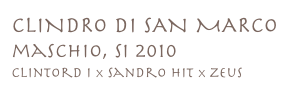 CLINDRO DI SAN MARCO
maschio, si 2010
clintord I x sandro hit x zeus