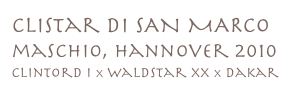 CLIstar DI SAN MARCO
maschio, hannover 2010
clintord I x waldstar xx x dakar