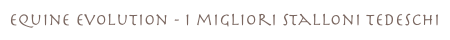 equine evolution - i migliori stalloni tedeschi