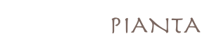 PIANTA  